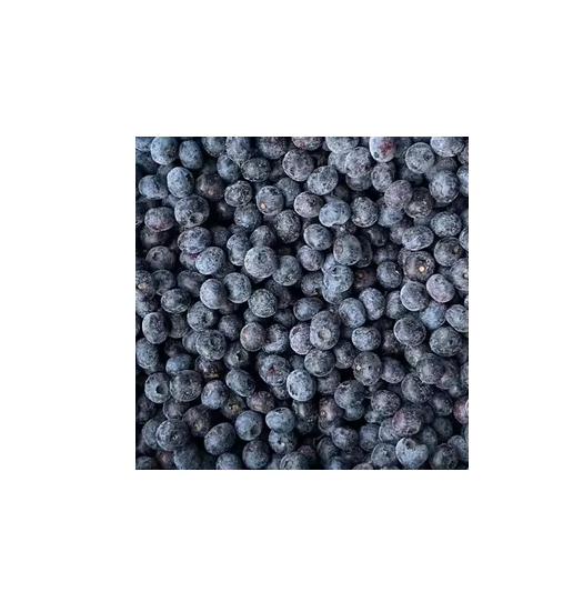 Ravi fruit Iqf wild Blueberry 1kg x 5pcs Carton
